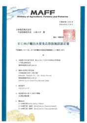 小林食品がEU HACCP認証取得で欧州市場へ本格進出！日本の「だし」が世界を魅了する
