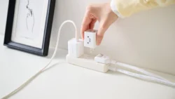 可愛くて高性能！「しろちゃん」デザインも選べるUSB Type-C 2ポートAC充電器で毎日をもっと便利に