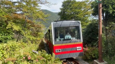 『友近・礼二の妄想トレイン』で東京から日帰りの紅葉鉄道旅3選、高尾山、箱根、1位は？