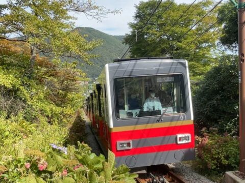 『友近・礼二の妄想トレイン』で東京から日帰りの紅葉鉄道旅3選、高尾山、箱根、1位は？