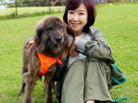 アンバサダーの伍代夏子氏が尾道刑務支所を訪問し保護犬育成プログラムを視察
