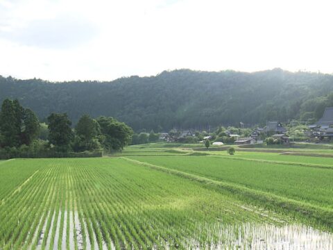 美しい里山を次世代へ。減り続ける人口、増える休耕田…農学博士が挑む“ふるさと再生”の物語